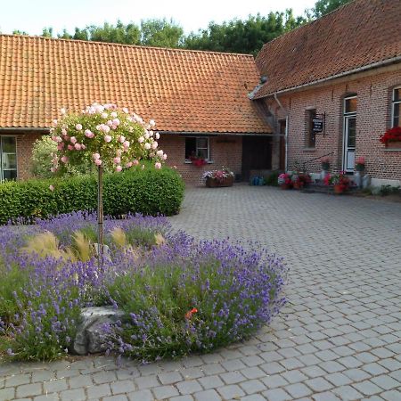 Gîte de la Noyelle à Sainghin en Mélantois Exterior foto