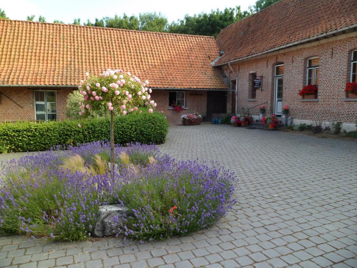 Gîte de la Noyelle à Sainghin en Mélantois Exterior foto